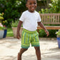Boys Bermuda Stripped